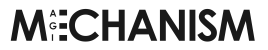 Magichanism Store